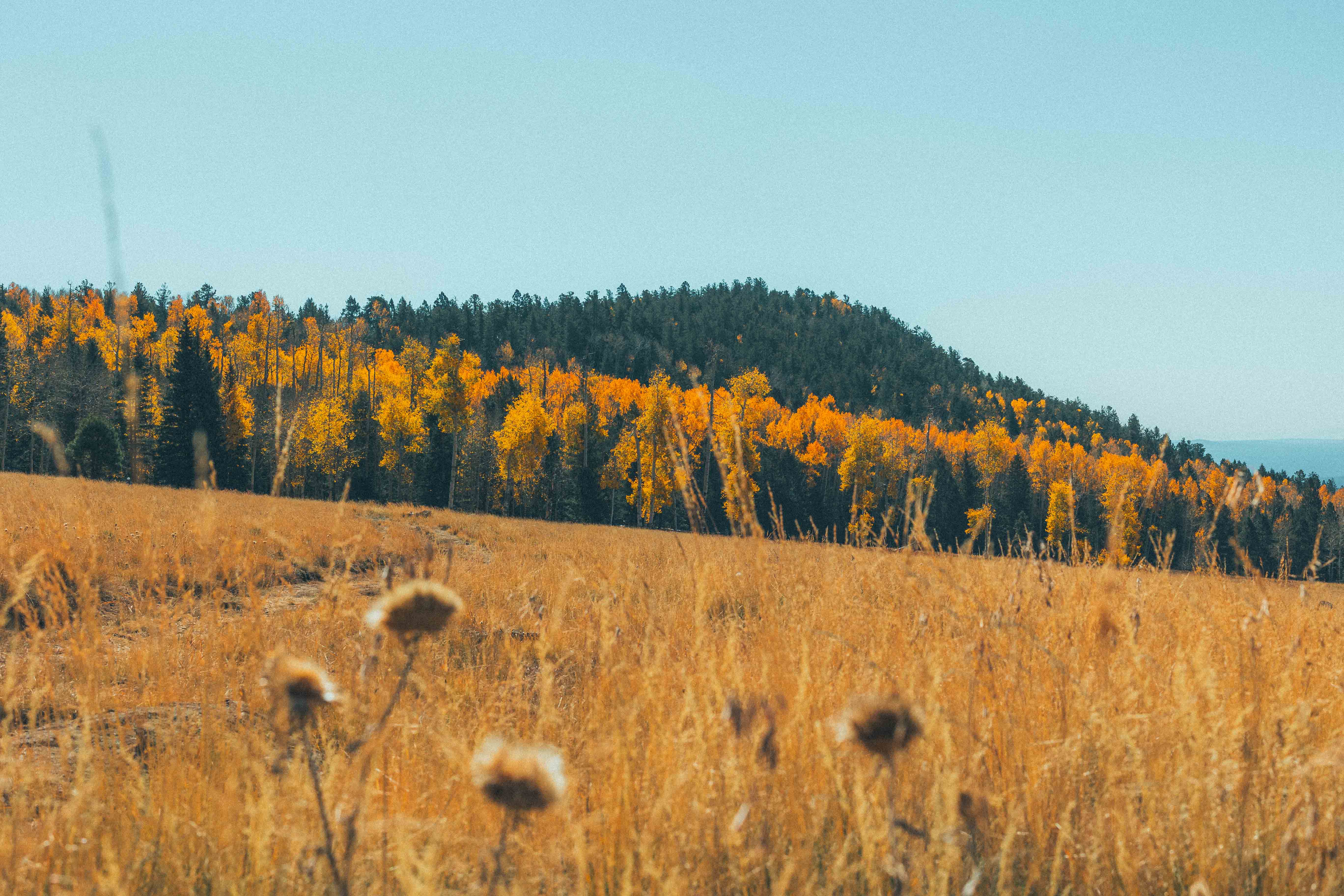 flagstaff-hills-1.jpg
